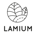 lamium